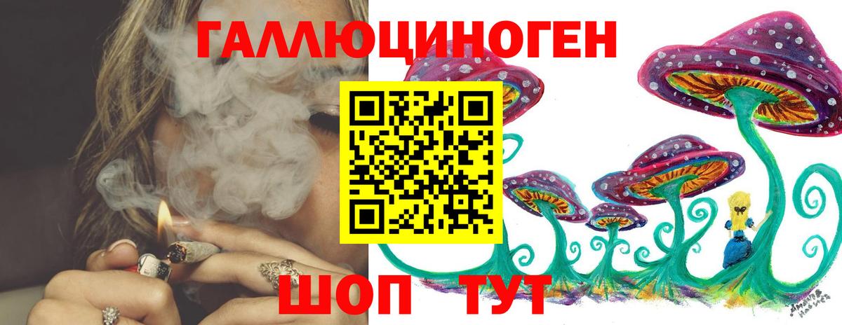 Галлюциногенные грибы GOLDEN TEACHER Нововоронеж