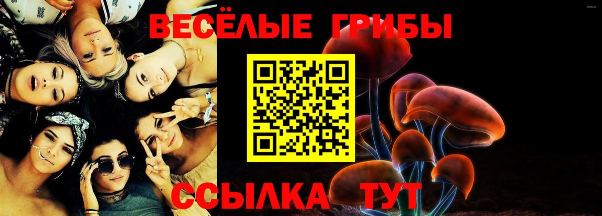 Нововоронеж  хочу   Вход с VPN  Псилоцибиновые грибы прущие грибы 